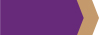 Data Services Company